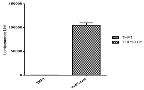 CBP30129L 信號(hào)